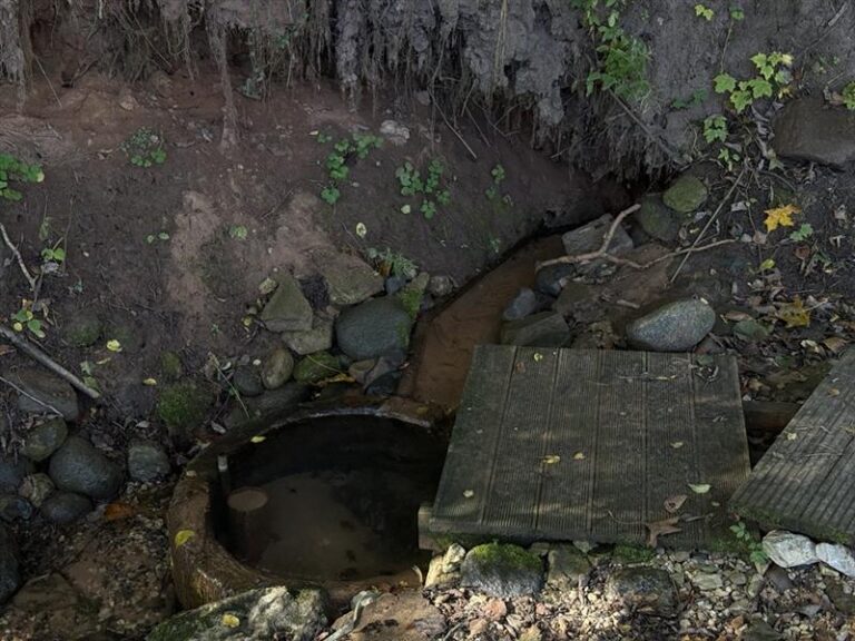 Kave läte ohvriallikas