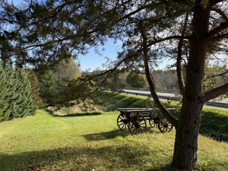 Vaade Kavilda ürgorule