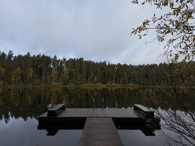 Illi umbjärv purre sügis